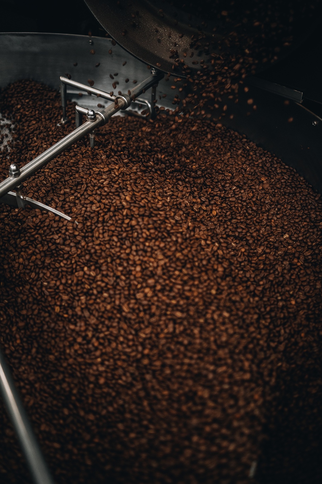 Rösters Liebling Gallerie 2