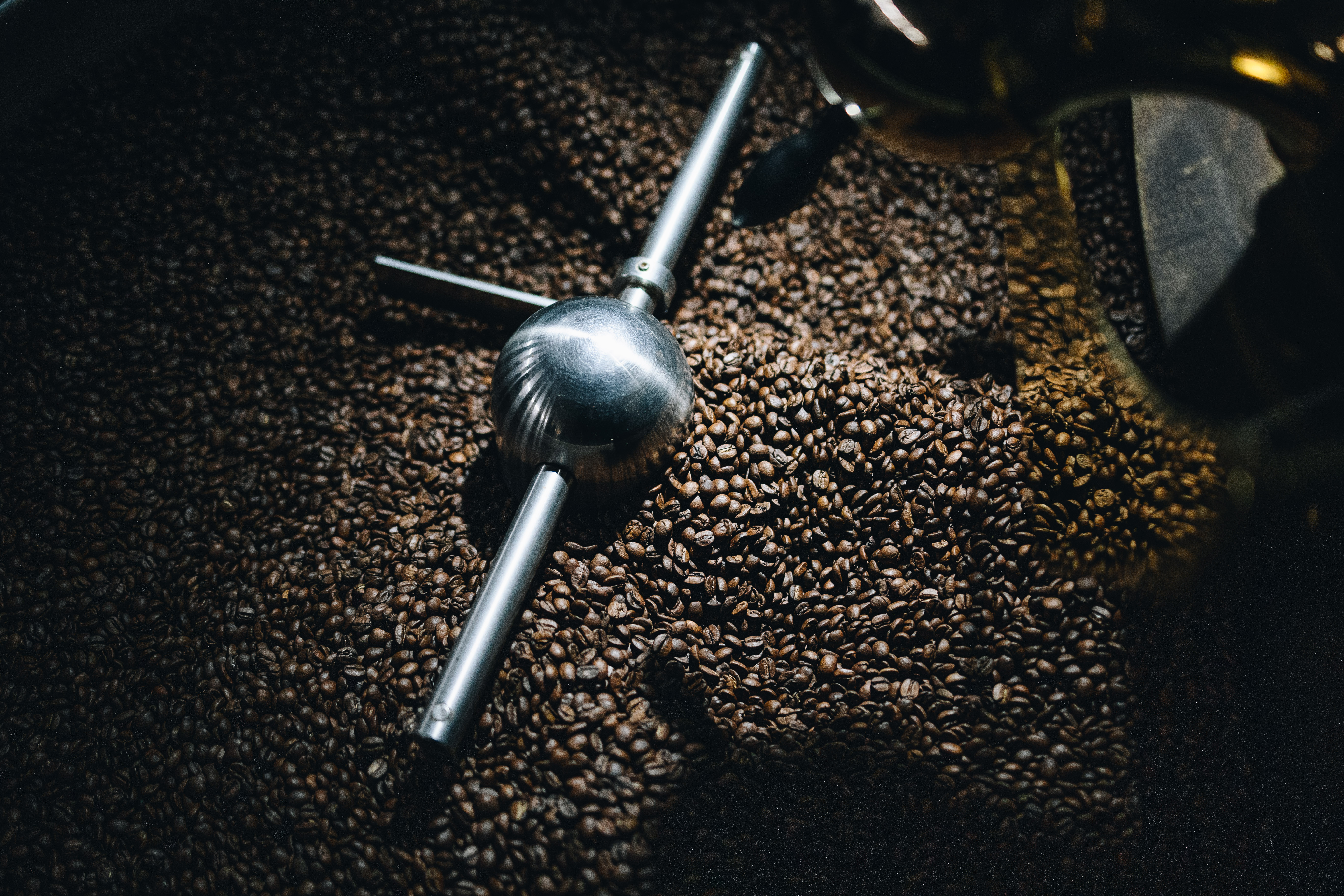 KAFFEE SEMINAR Gallerie 3